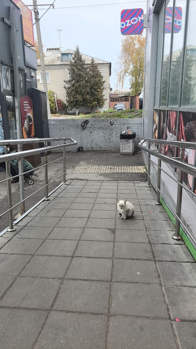 Прямо на моем пути. Фото из архива автора