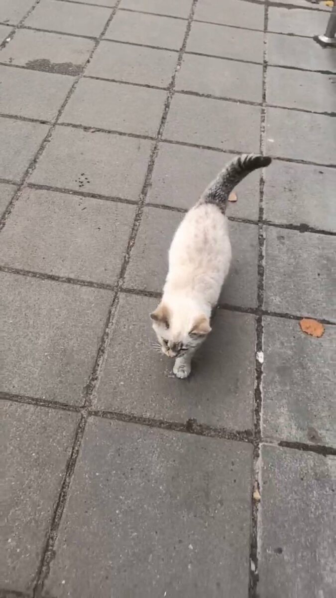 Вот она неверотяная красота. Фото из архива автора