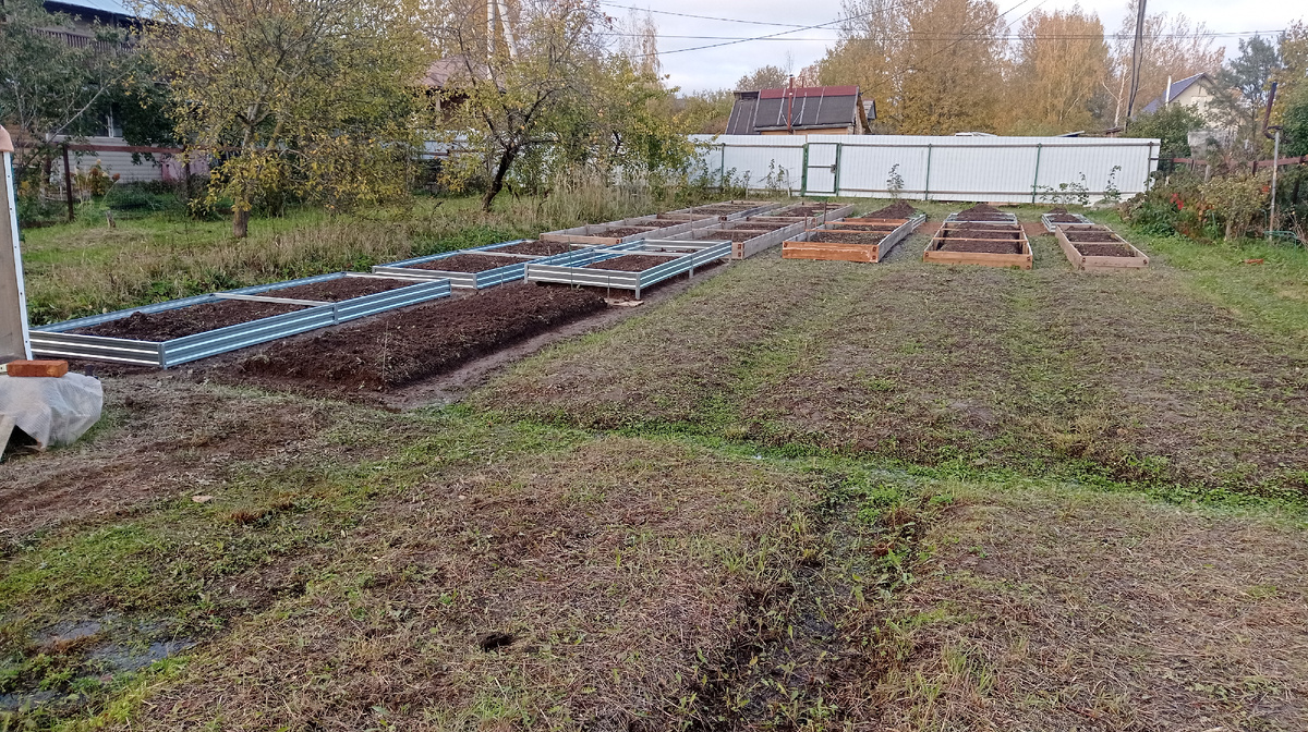 Вот так выглядели мои овощные грядки в октябре 2023. Листайте галерею
