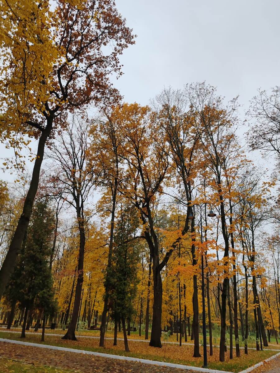 Центральный парк культуры и отдыха в городе Щёкино Тульской области