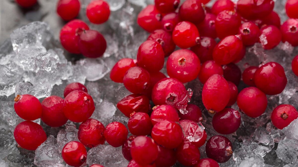 Фото: ru.freepik.com