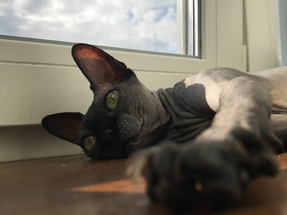 Характер — это сложная смесь, «чистые» типы встречаются редко, но есть доминирующая черта