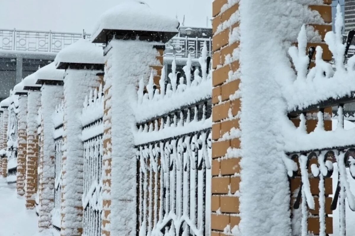    Названа дата появления постоянного снежного покрова в Новосибирске