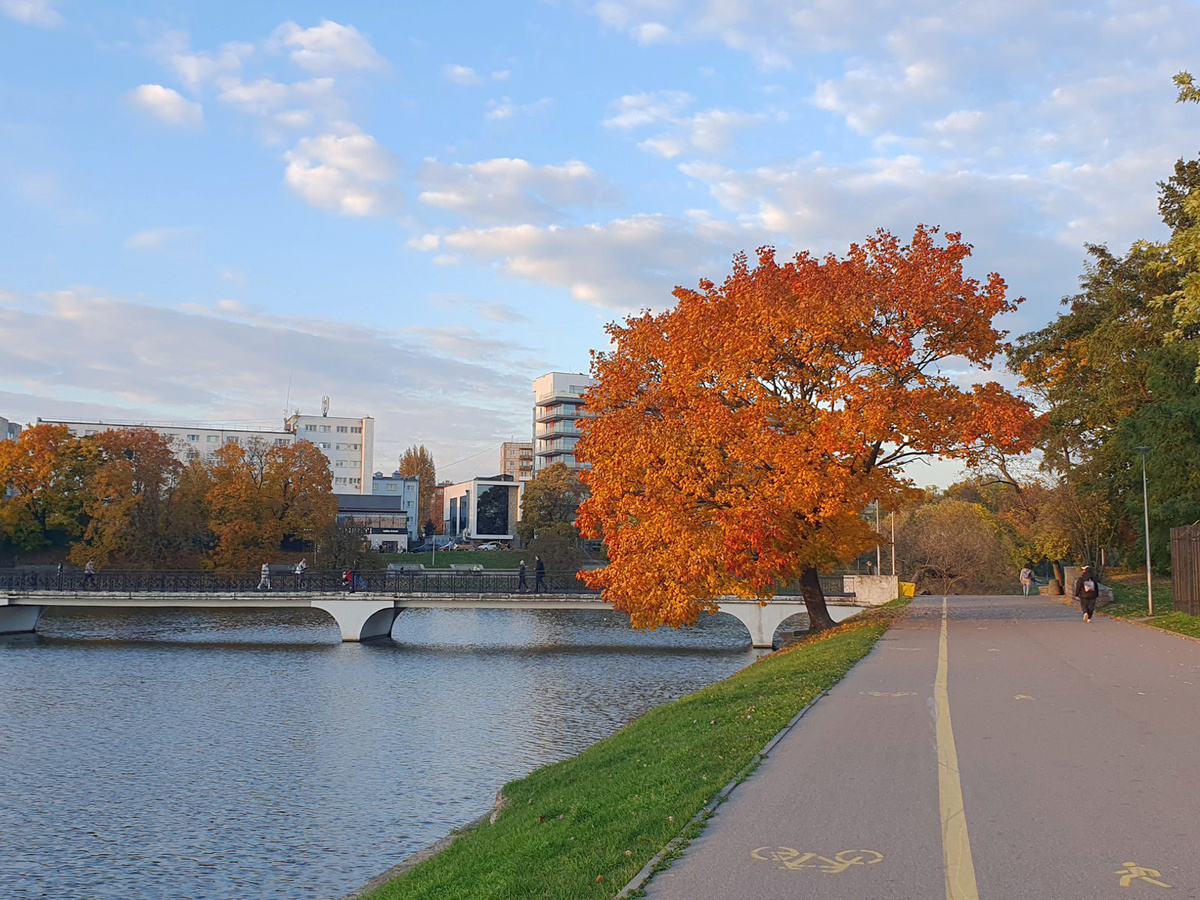 Нижнее озеро. Авторское изображение.