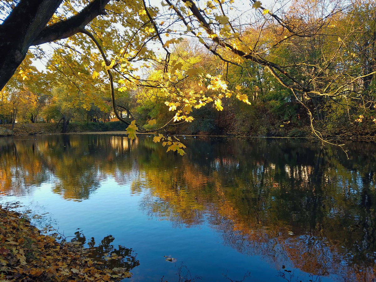 Парк Южный. Авторское изображение.