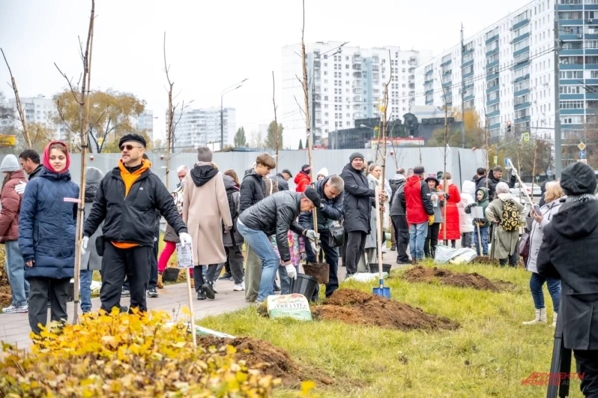    19 октября в Москворецком парке отметили День отца самым прекрасным способом — высадили Аллею отцов.