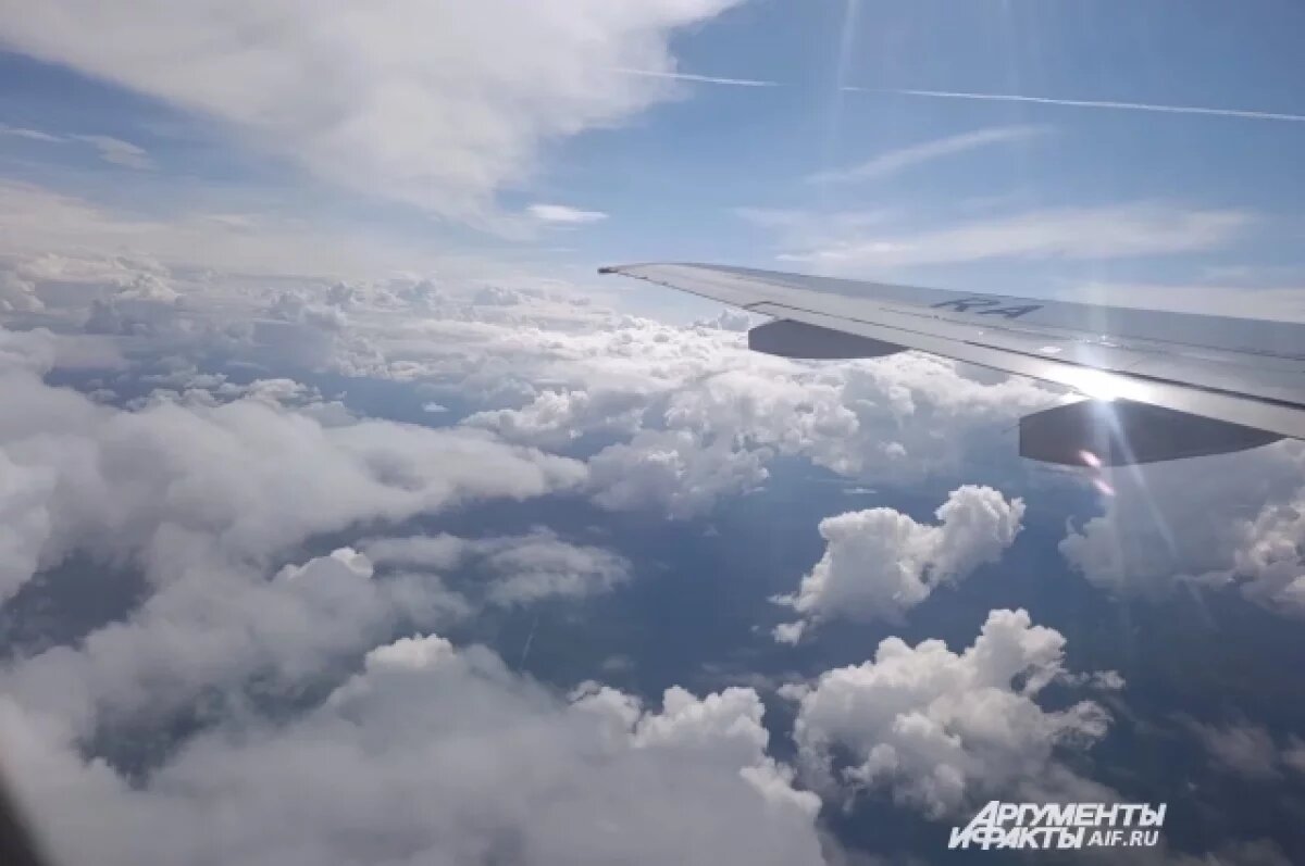    В аэропортах Пензы, Саратова и Тамбова введены временные ограничения