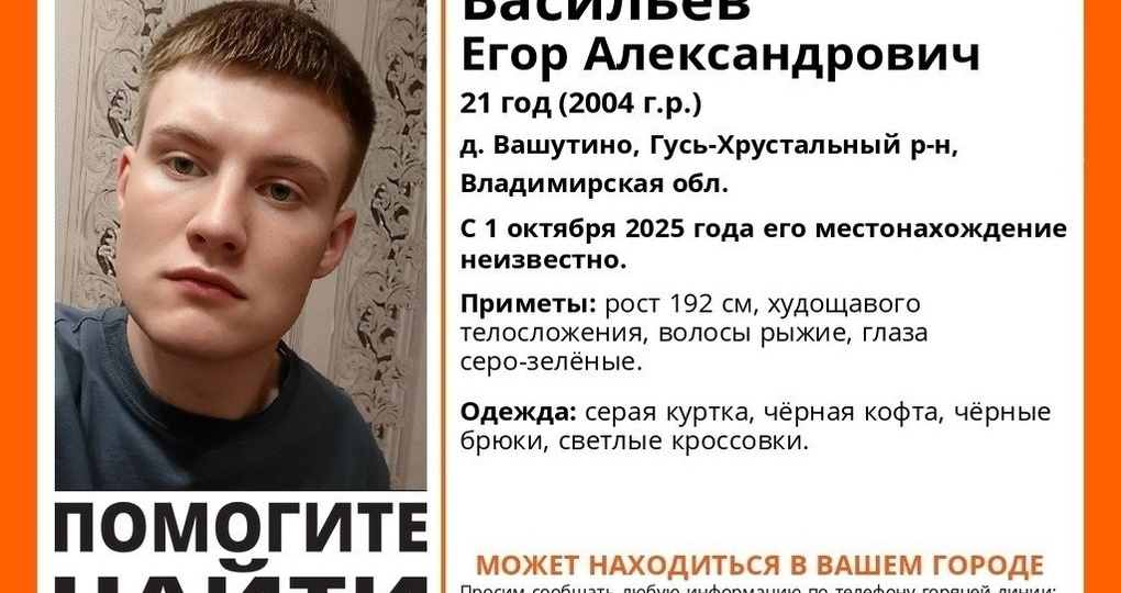 Во Владимирской области бесследно исчез молодой человек