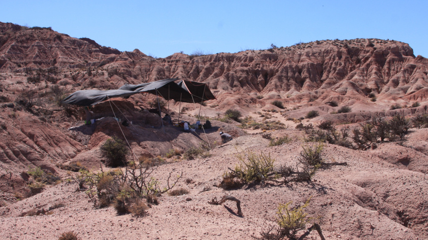    Фото: www.globallookpress.com