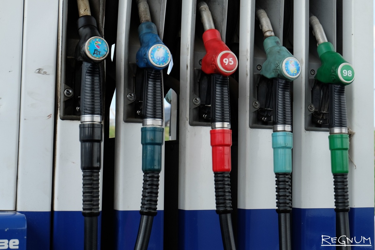     / Источник: Наталья Стрельцова © ИА Регнум