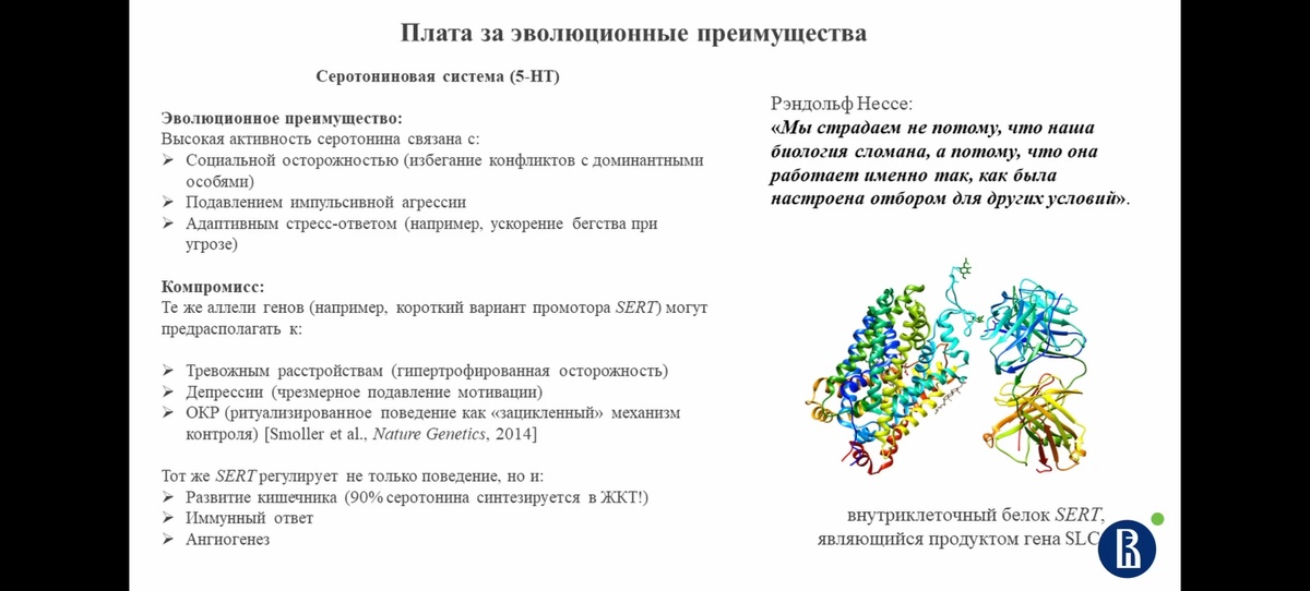 Слайд дополняет текст, но не относится к нему непосредственно