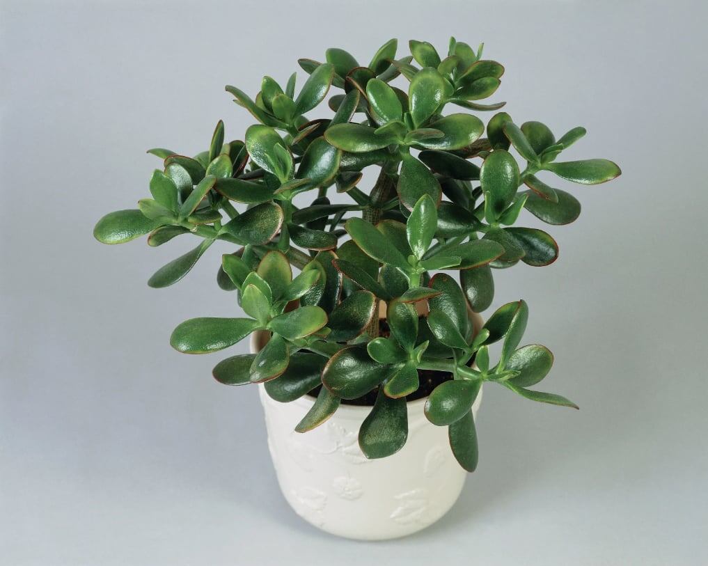 Фото взято из открытых источников для примера