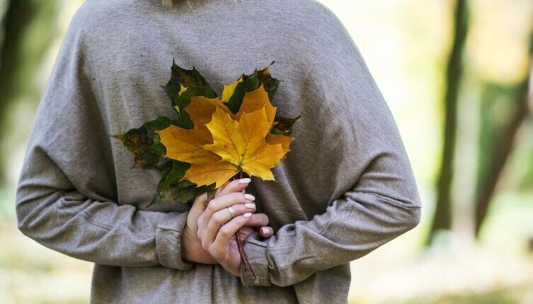    Осень. Что мы знаем о ней — календарной, астрономической, климатической и «живой»? Фото: AZGAN MjESHTRI on Unsplash