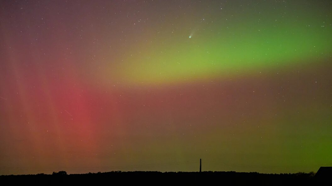    Фото: Patrick Pleul/Globallookpress