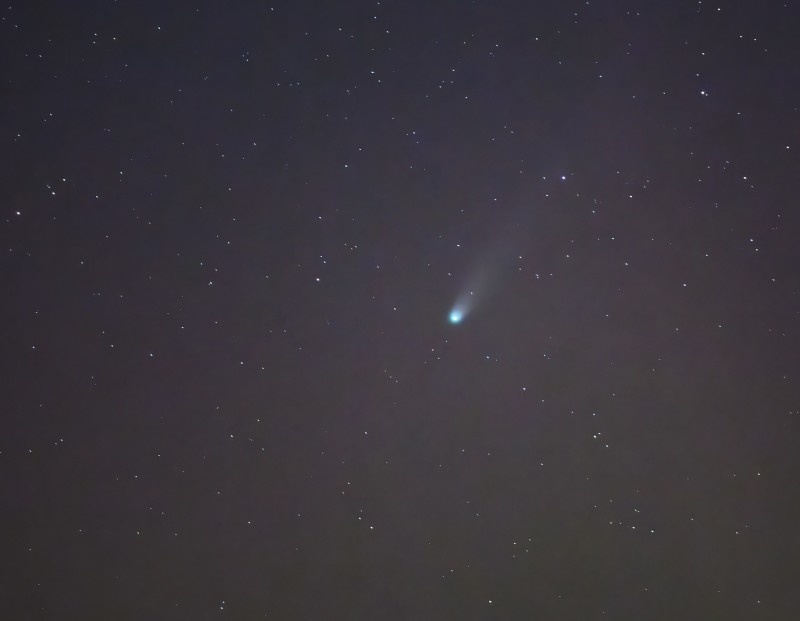    Фото: Patrick Pleul/Globallookpress