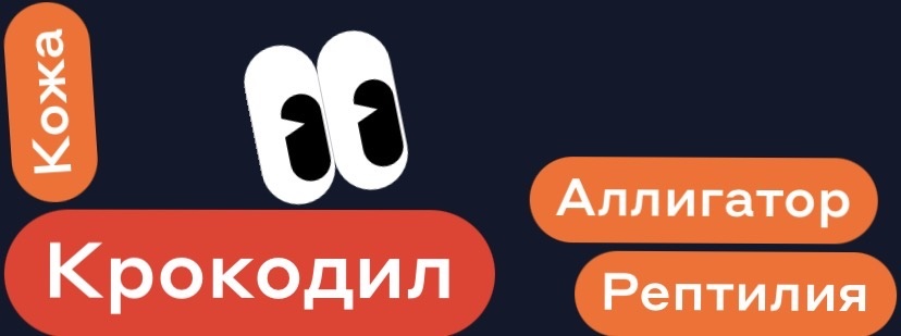 Аллигатор, рептилия, кожа – крокодил;