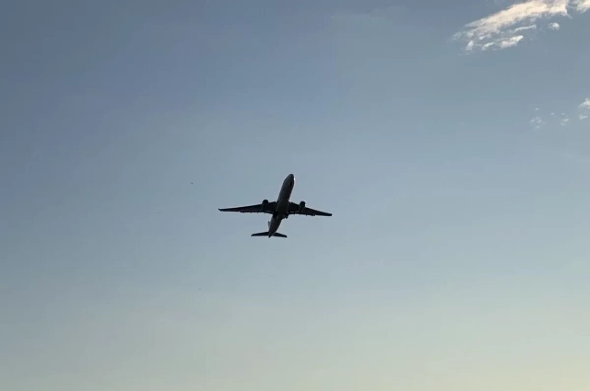    В США самолет экстренно сел после столкновения с неизвестным объектом