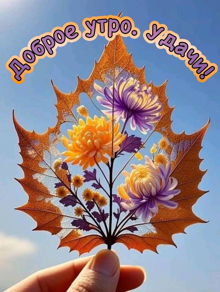 Фото интернета