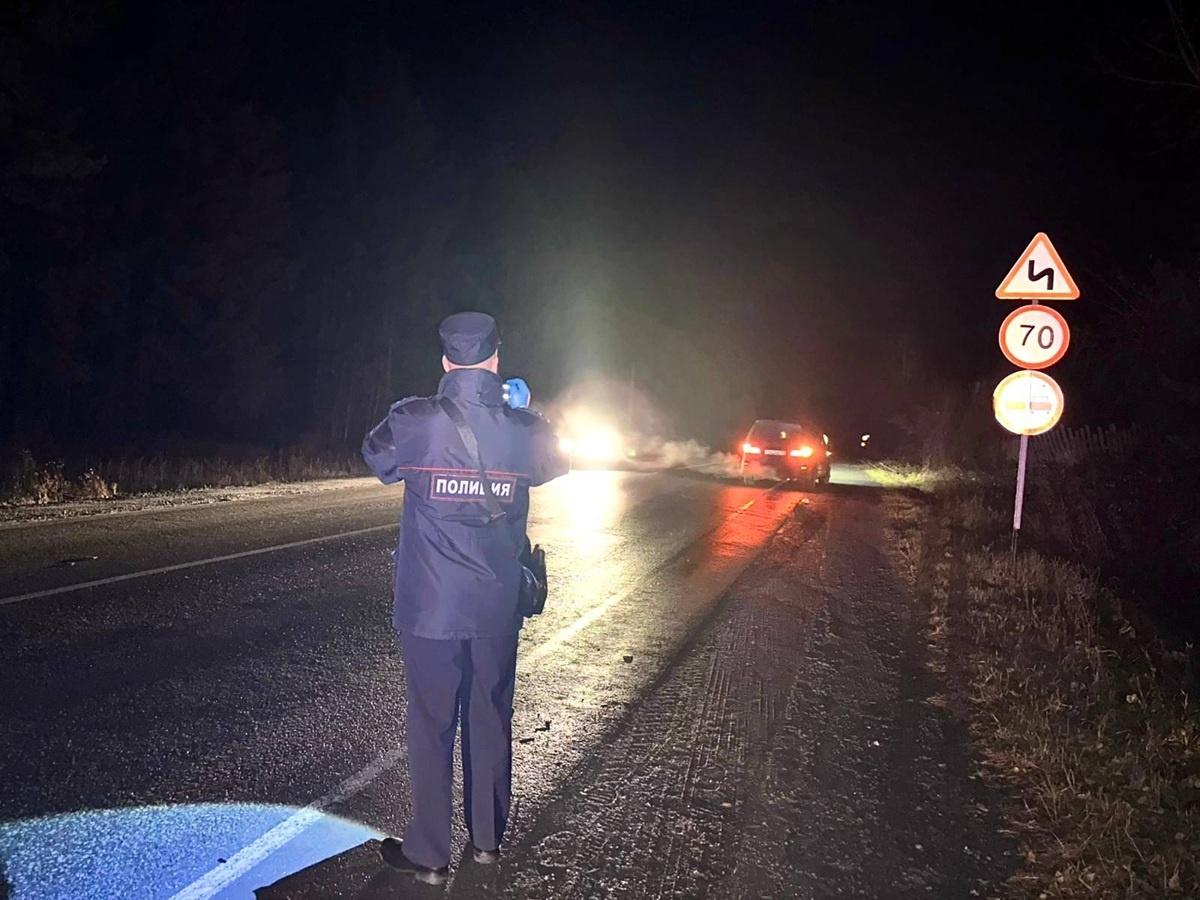 Фото: Госавтоинспекция Свердловской области  📷
