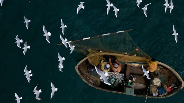    © РИА Новости . Алексей Мальгавко