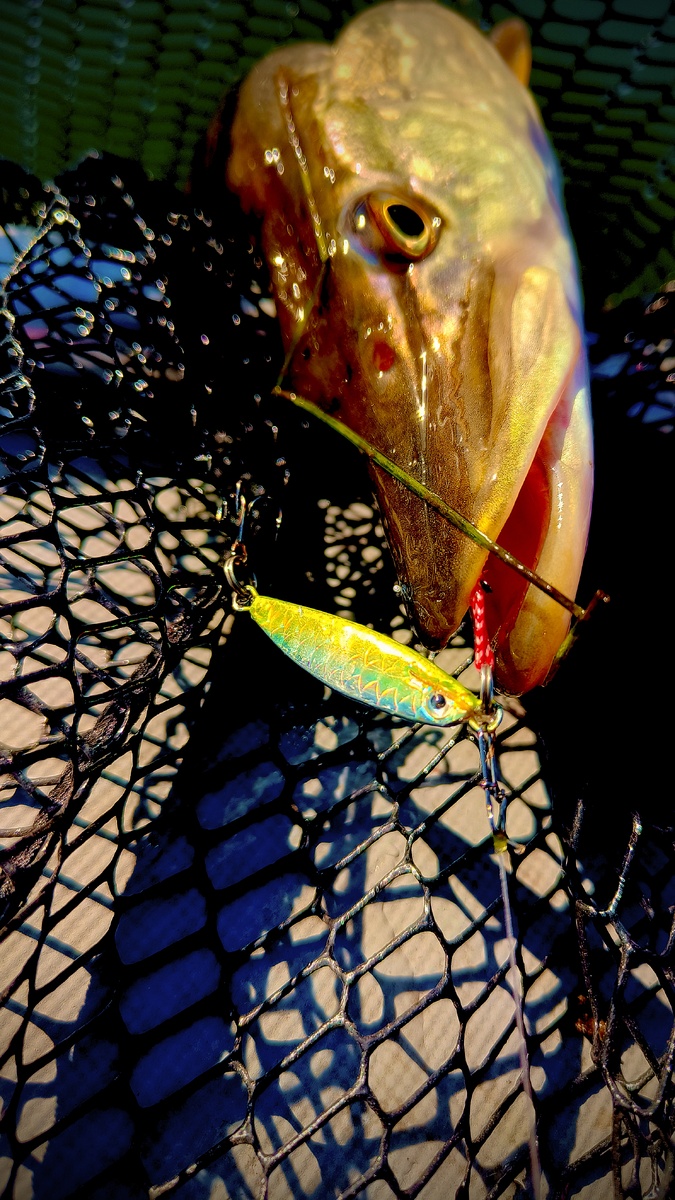 Пилькер 7грамм