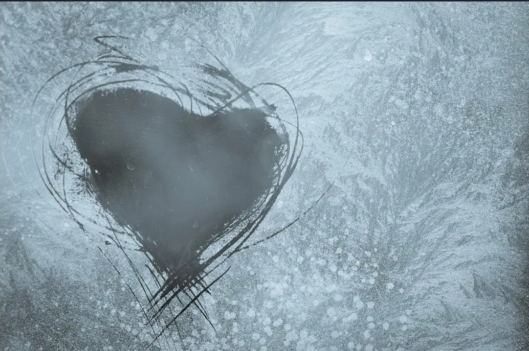 фото из открытых источников