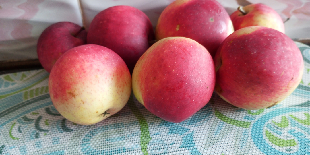 Доброе утро, уважаемые читатели канала!