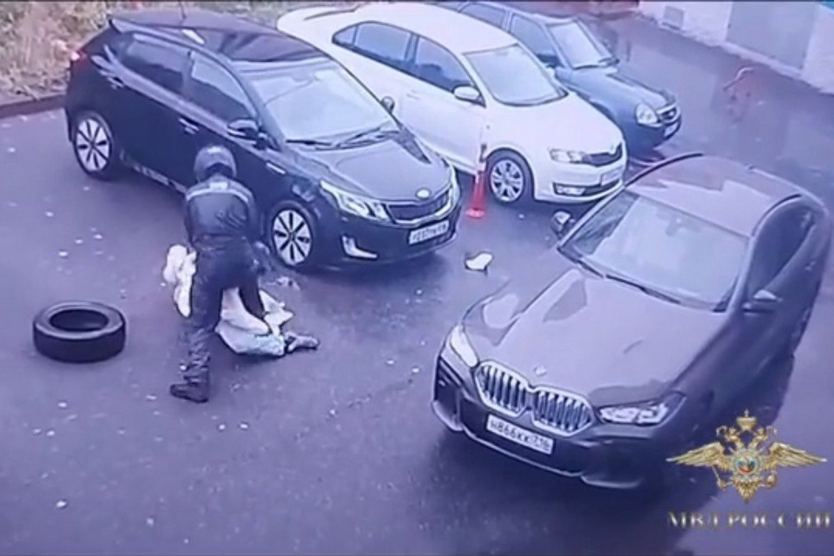    Кадры записи с камер зафиксировали не только нападение, но и активное сопротивление преступнику. стоп-кадр видео МВД РФ