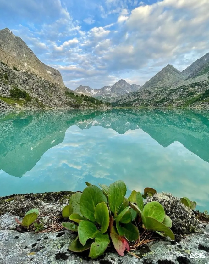 Фото взято с 2ГИС