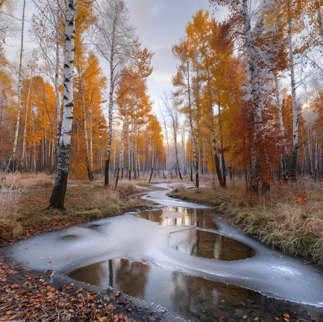 Иллюстрация ИИ - Giga Chat.