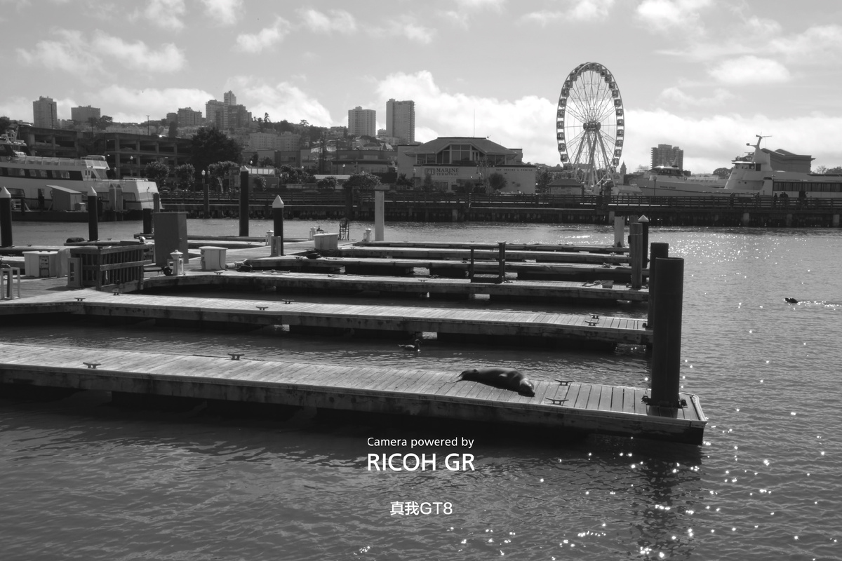 Фото Realme  📷
