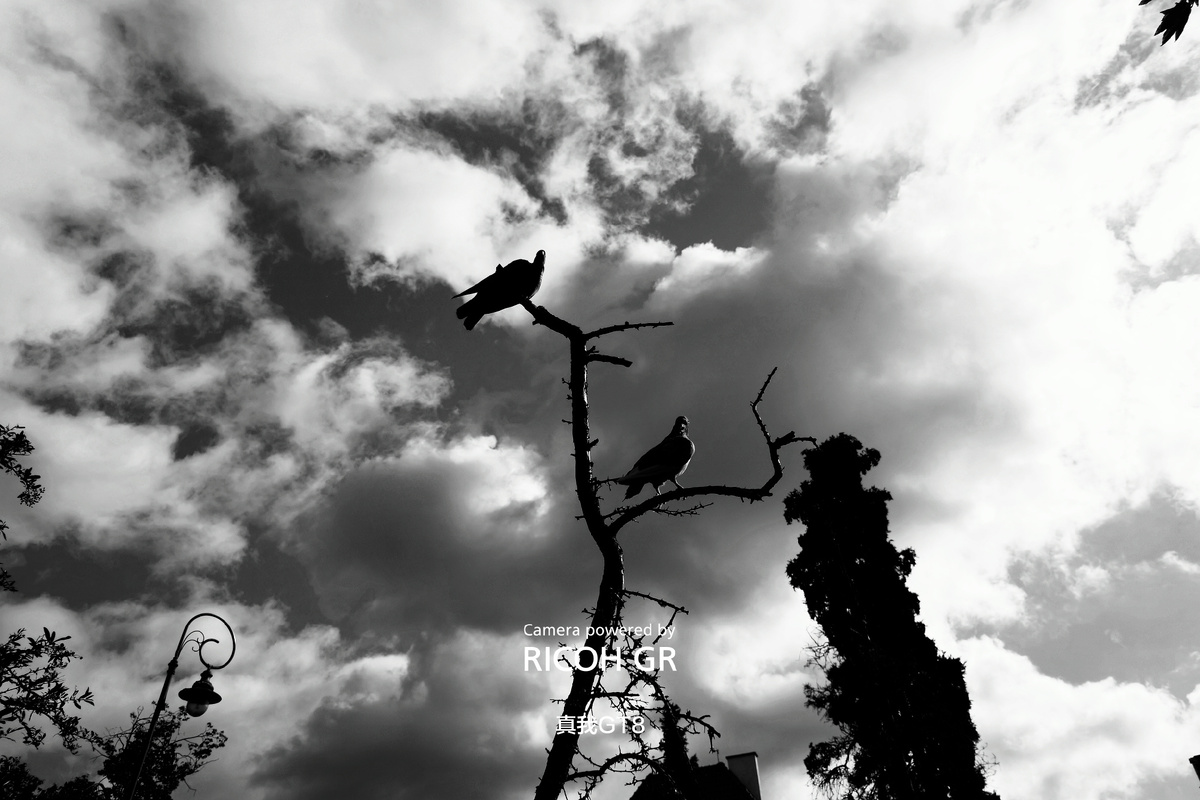 Фото Realme  📷
