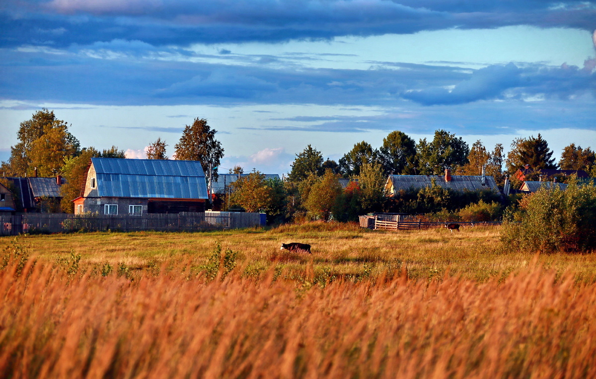 Владимир Смирнов/ТАСС