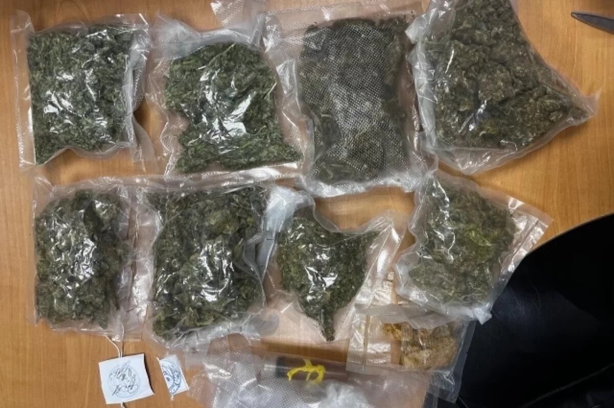    На Камчатке осудили участника преступной группы за сбыт 10,5 кг наркотиков