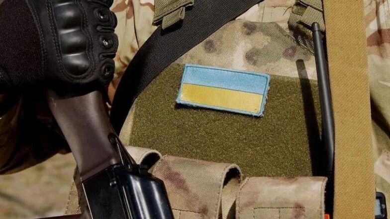    Фото: wedmoments.stock/Shutterstock/Fotodom