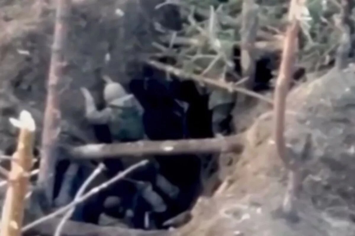    «Перемога» с душком.