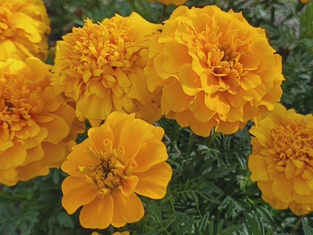 Адлер, октябрь 2025 года