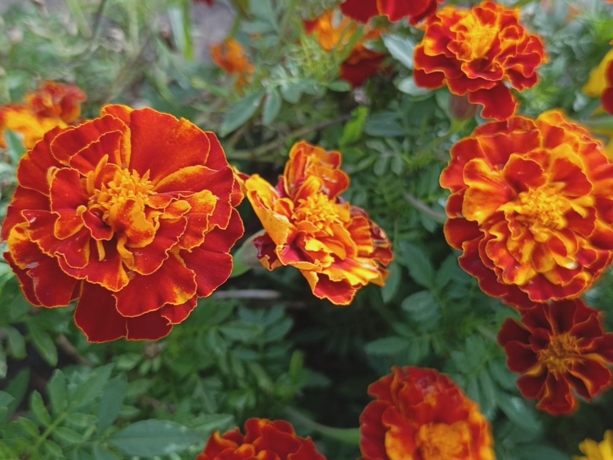 Адлер, октябрь 2025 года