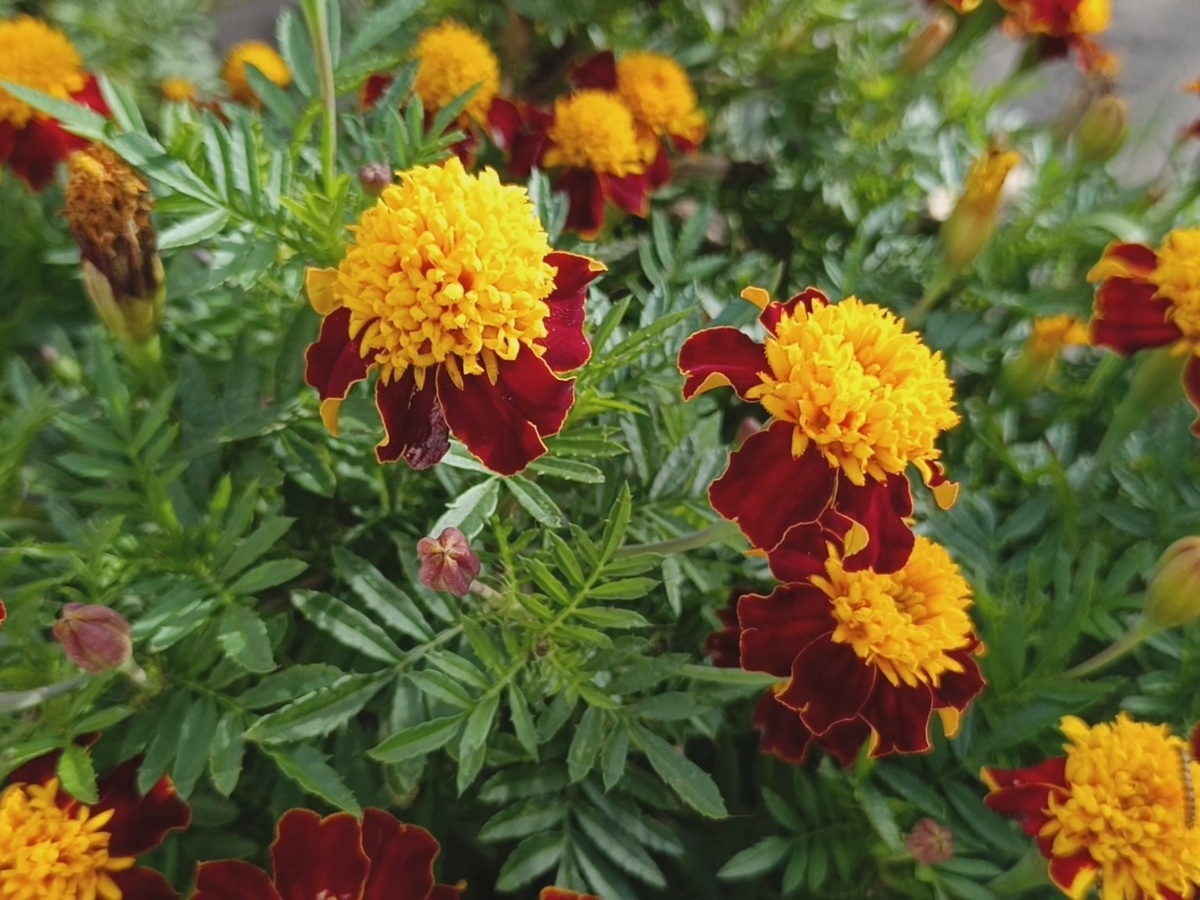 Адлер, октябрь 2025 года