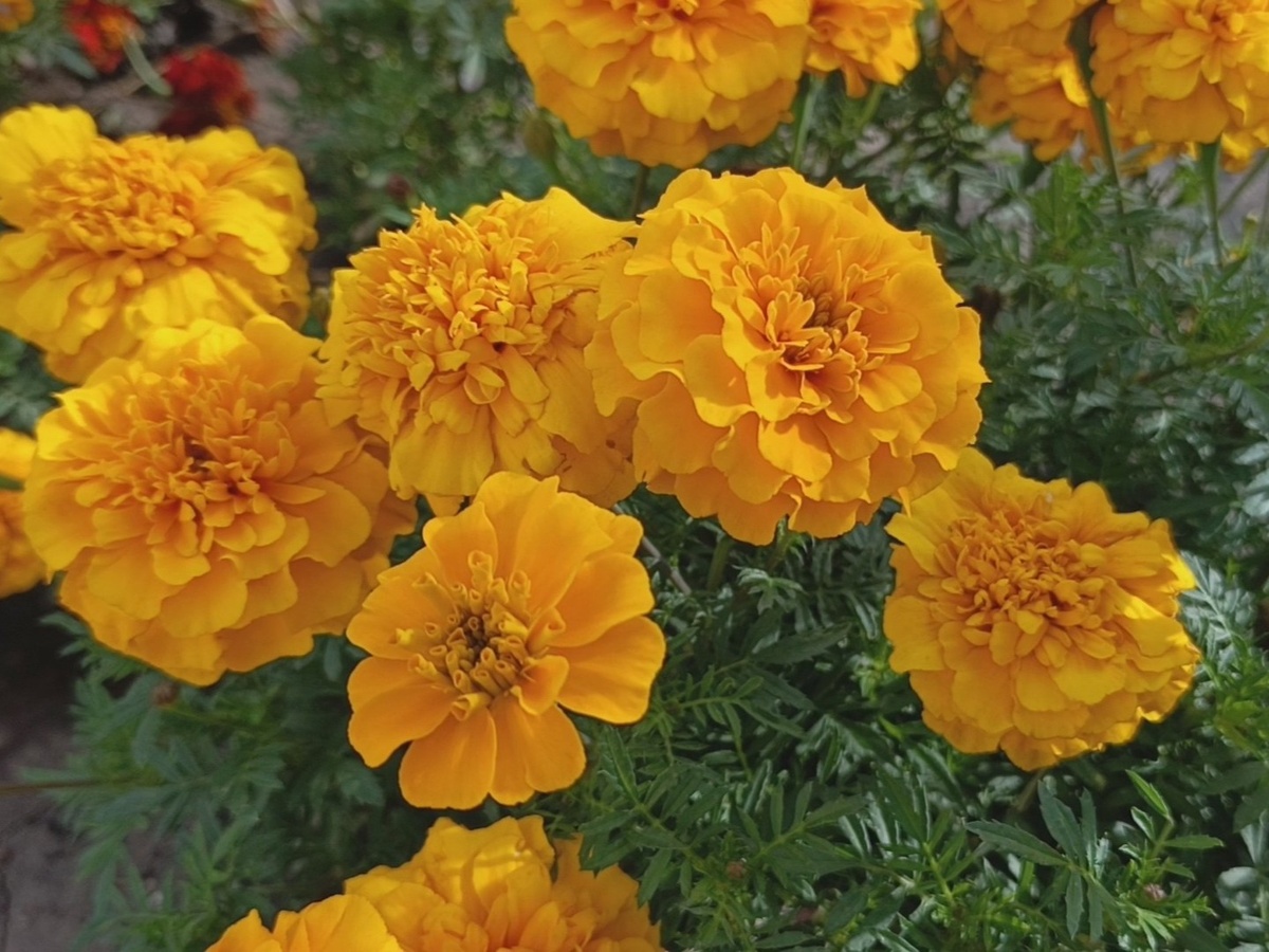 Адлер, октябрь 2025 года