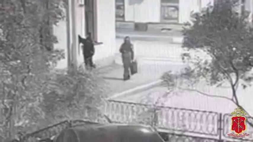    Фото: кадр видео ГУ МВД по Петербургу и Ленобласти