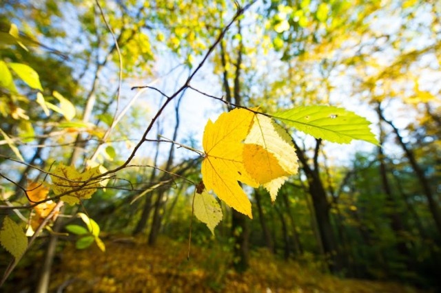   Фото из архива Калининград.Ru