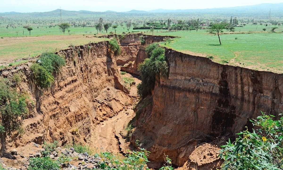 Главные звенья рифта — это обширные равнины и озерные районы. Источник фото - https://lyl.su/JD9A