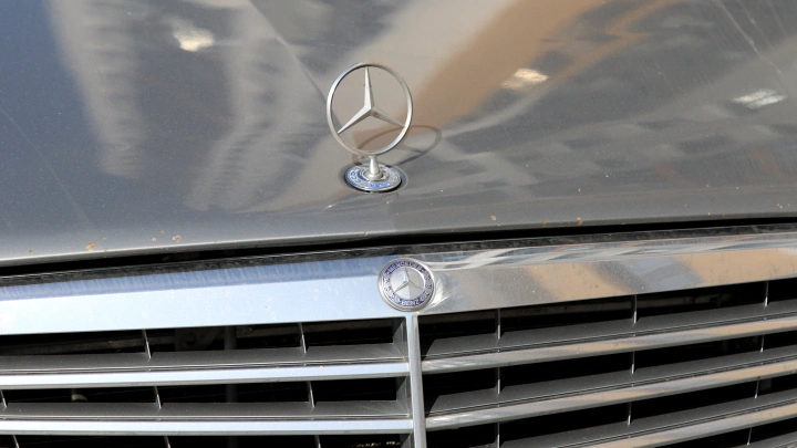 Фото: Maksim Konstantinov/Global Look Press