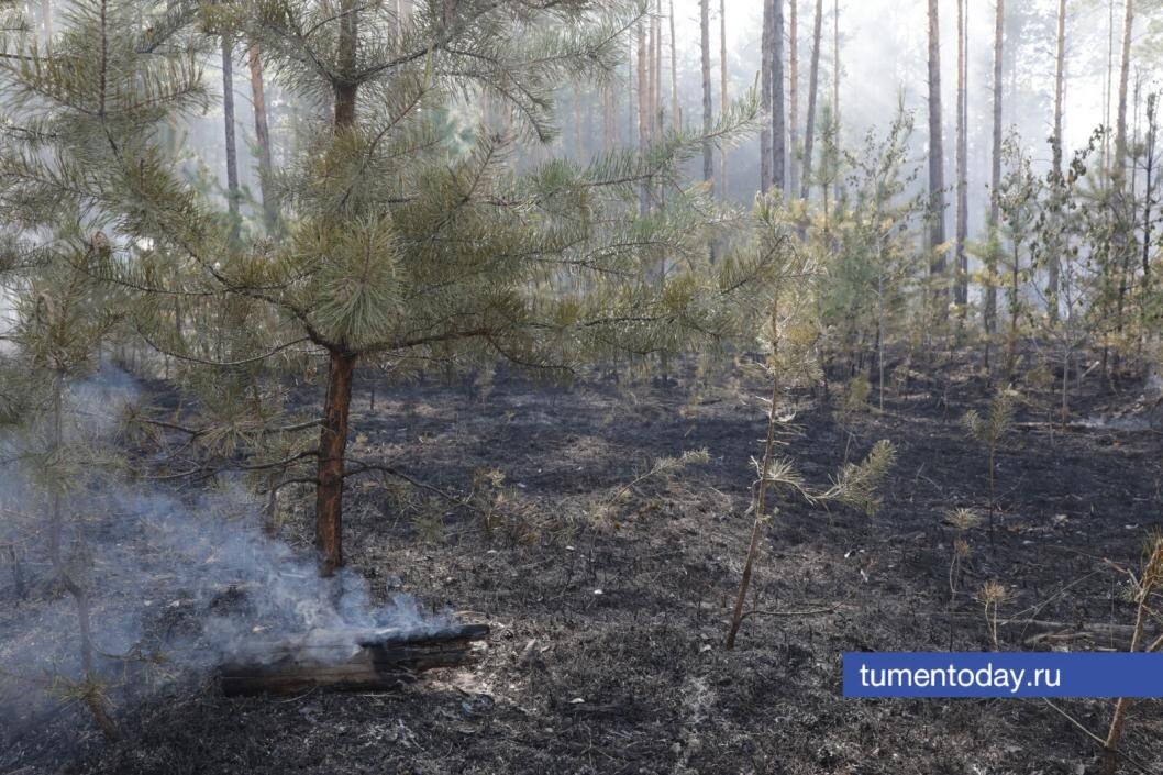  Фото Сергея Куликова