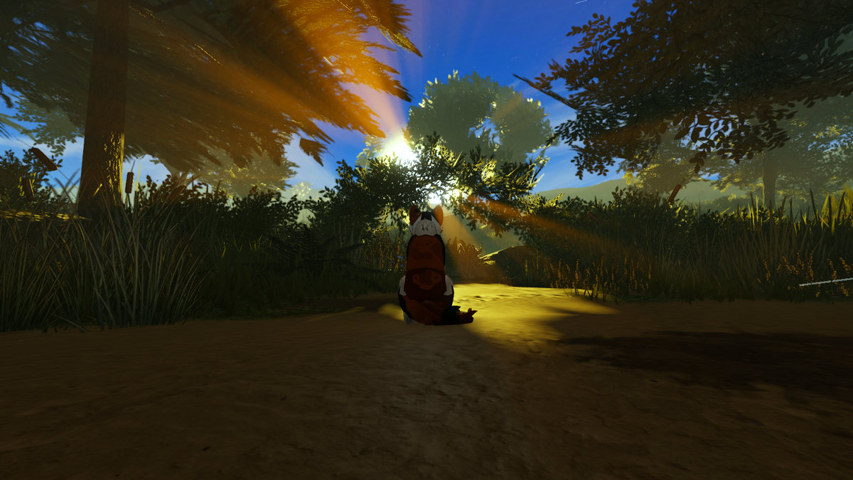 Красивая фоточка