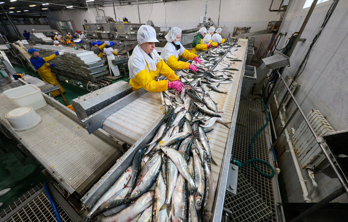 Юрий Смитюк/ТАСС