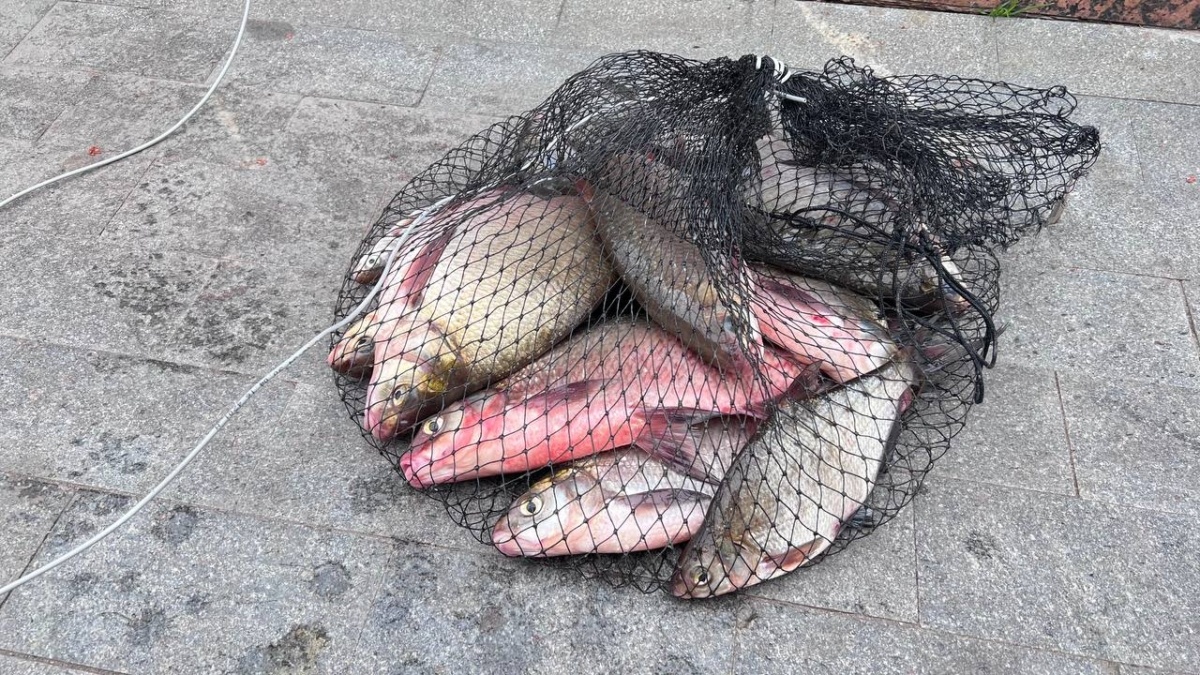 ИА SM-News Тюмень📷
