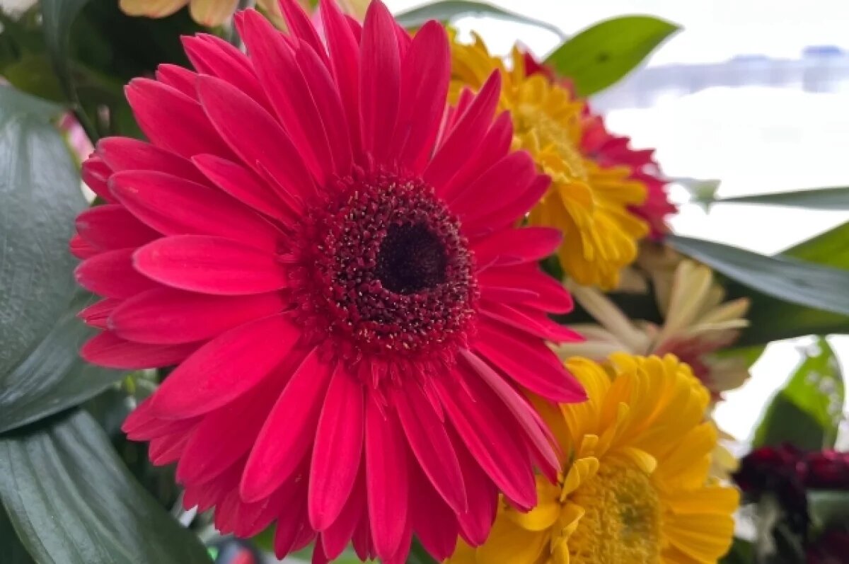    В Калининградской области две долгожительницы отмечают юбилеи