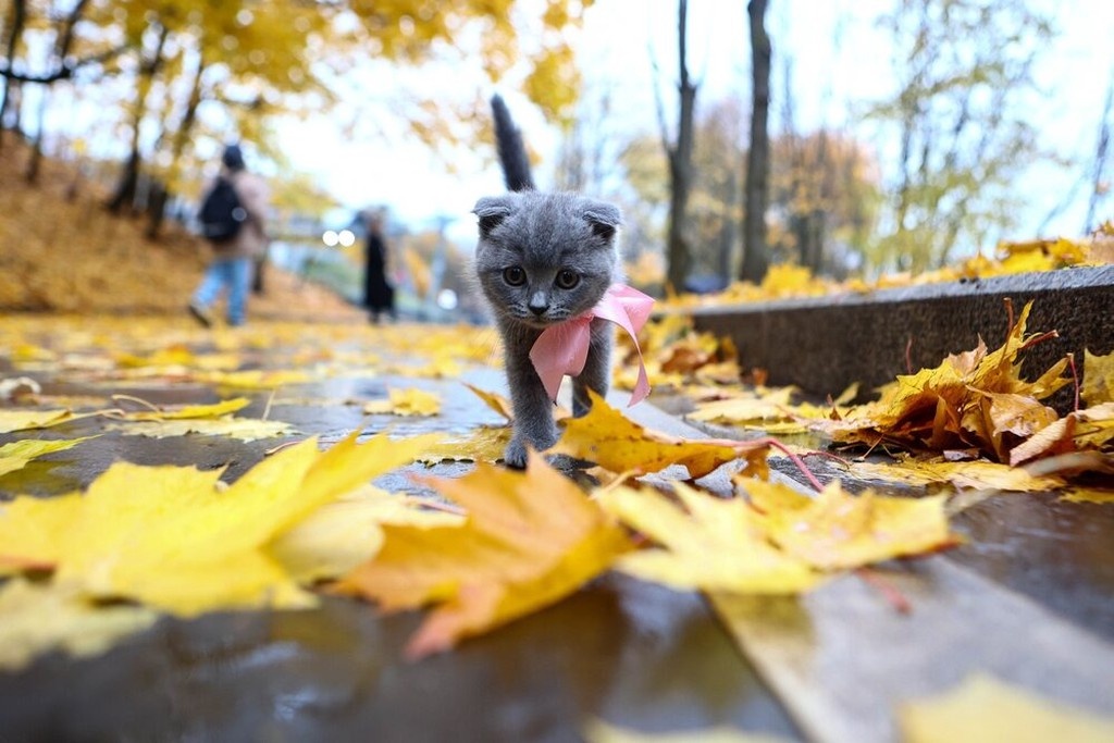    Фото © АГН «Москва» / Ярослав Чингаев